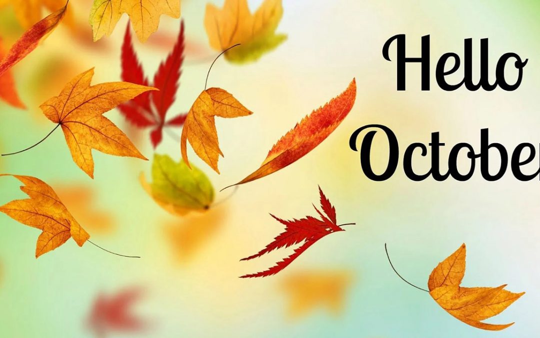 Newsletter of October 2022: News, Calendar and Snack Menu